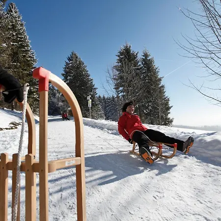 Apartment Sope Skylodge 01 - Eldison's Bobbele - Oberried, Schauinsland Oberried (Breisgau)