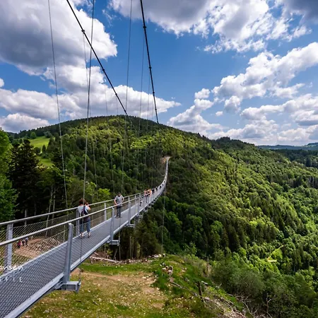 Sope Skylodge 01 - Eldison's Bobbele - Oberried, Schauinsland